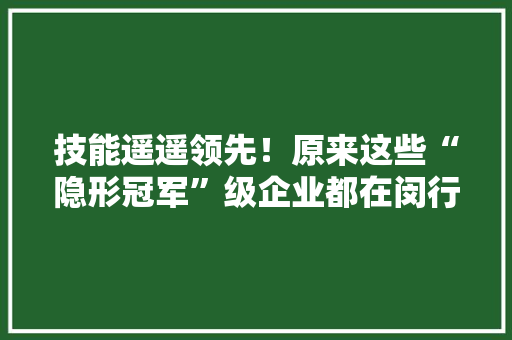 技能遥遥领先！原来这些“隐形冠军”级企业都在闵行