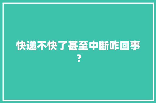 快递不快了甚至中断咋回事？ 快递不快了甚至中断咋回事？ 人工智能