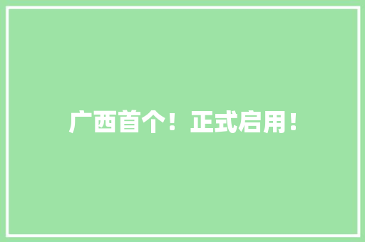 广西首个！正式启用！ 广西首个！正式启用！ 智能科技