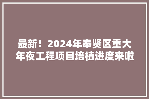 最新！2024年奉贤区重大年夜工程项目培植进度来啦→ 最新！2024年奉贤区重大年夜工程项目培植进度来啦→ 互联通信
