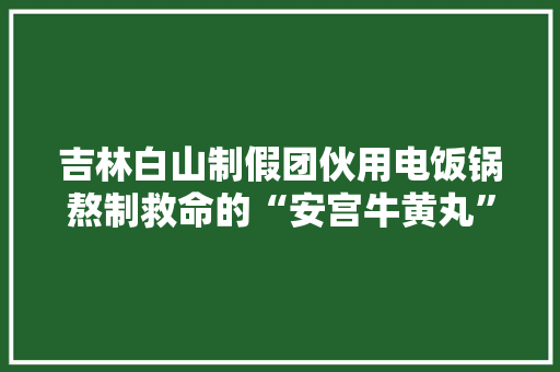 吉林白山制假团伙用电饭锅熬制救命的“安宫牛黄丸” 吉林白山制假团伙用电饭锅熬制救命的“安宫牛黄丸” 互联通信