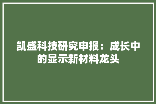 凯盛科技研究申报：成长中的显示新材料龙头 凯盛科技研究申报：成长中的显示新材料龙头 人工智能