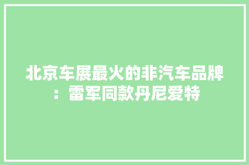 北京车展最火的非汽车品牌：雷军同款丹尼爱特