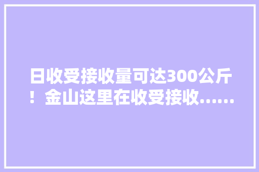 日收受接收量可达300公斤！金山这里在收受接收……