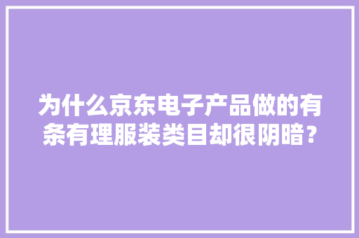 为什么京东电子产品做的有条有理服装类目却很阴暗？
