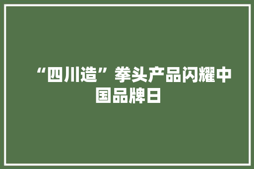 “四川造”拳头产品闪耀中国品牌日