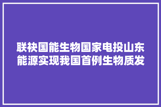 联袂国能生物国家电投山东能源实现我国首例生物质发电现货交易