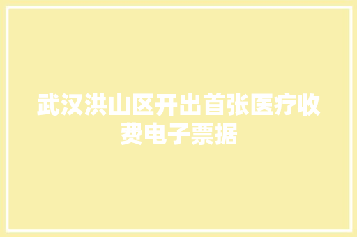 武汉洪山区开出首张医疗收费电子票据