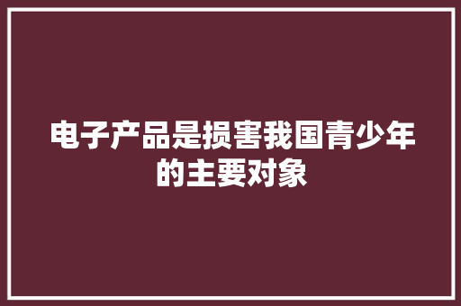 电子产品是损害我国青少年的主要对象