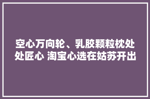 空心万向轮、乳胶颗粒枕处处匠心 淘宝心选在姑苏开出江苏首家线下店
