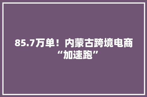85.7万单！内蒙古跨境电商“加速跑”