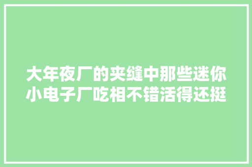大年夜厂的夹缝中那些迷你小电子厂吃相不错活得还挺滋润津润