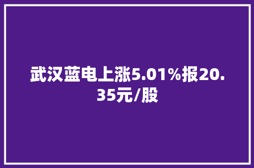 武汉蓝电上涨5.01%报20.35元/股