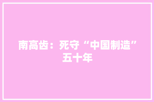 南高齿：死守“中国制造”五十年