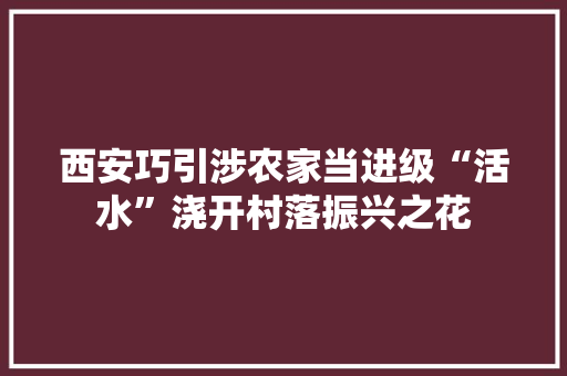 西安巧引涉农家当进级“活水”浇开村落振兴之花