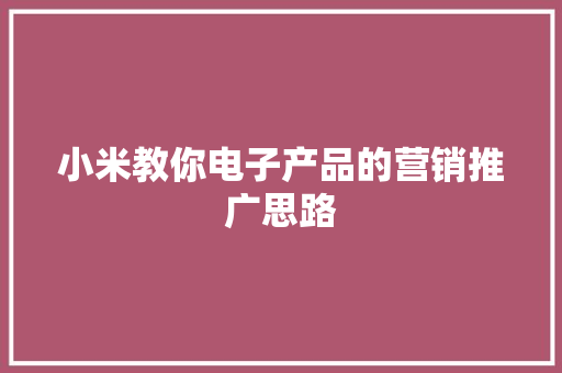 小米教你电子产品的营销推广思路