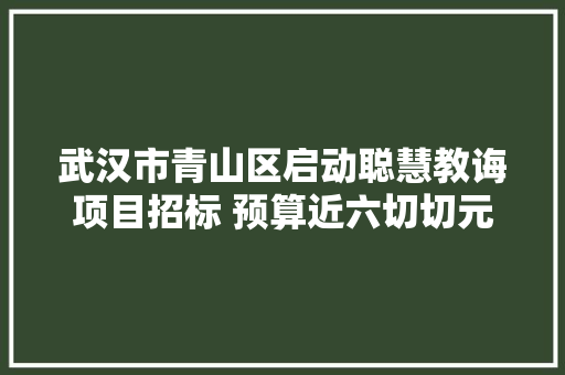 武汉市青山区启动聪慧教诲项目招标 预算近六切切元
