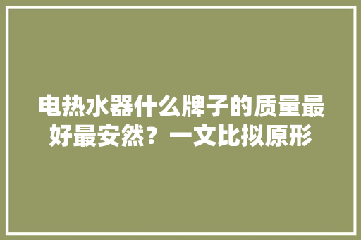 电热水器什么牌子的质量最好最安然？一文比拟原形