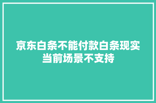 京东白条不能付款白条现实当前场景不支持