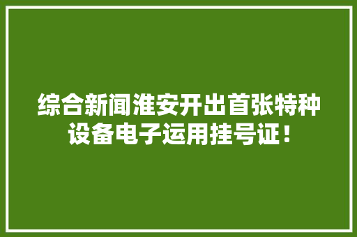 综合新闻淮安开出首张特种设备电子运用挂号证！