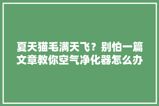 夏天猫毛满天飞？别怕一篇文章教你空气净化器怎么办