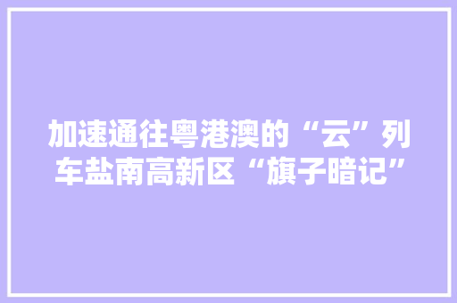 加速通往粤港澳的“云”列车盐南高新区“旗子暗记”正强