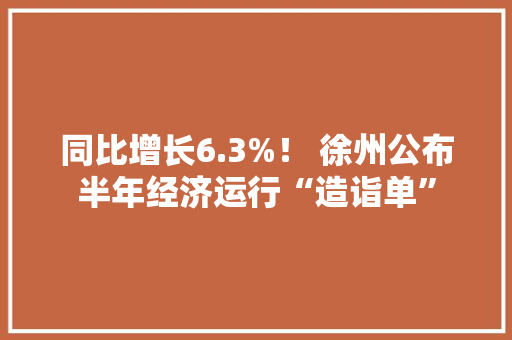 同比增长6.3%！ 徐州公布半年经济运行“造诣单”
