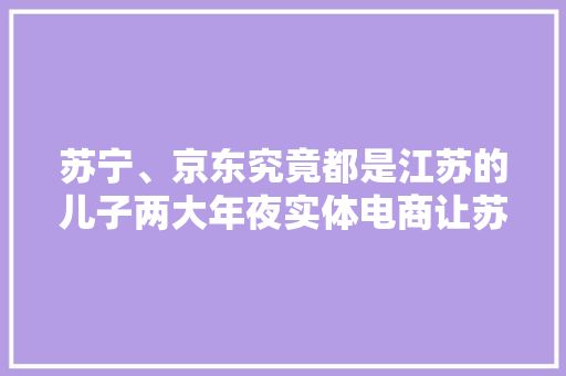 苏宁、京东究竟都是江苏的儿子两大年夜实体电商让苏大年夜强引领新家当