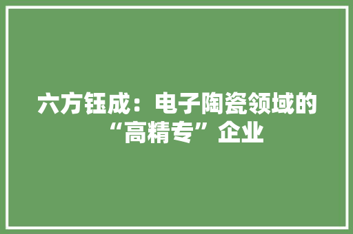 六方钰成：电子陶瓷领域的“高精专”企业