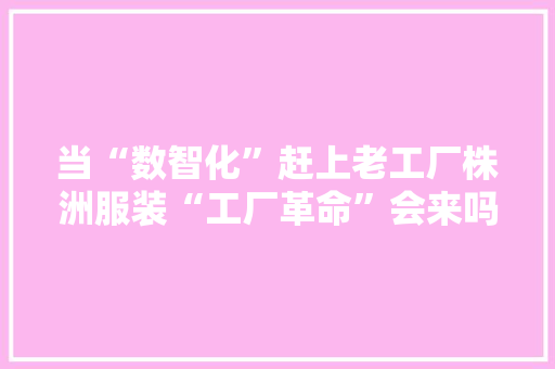 当“数智化”赶上老工厂株洲服装“工厂革命”会来吗？