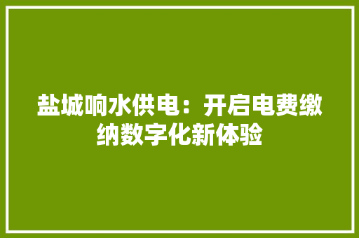 盐城响水供电：开启电费缴纳数字化新体验