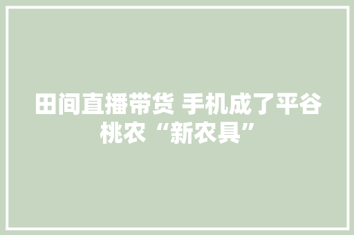 田间直播带货 手机成了平谷桃农“新农具” 田间直播带货 手机成了平谷桃农“新农具” 智能科技