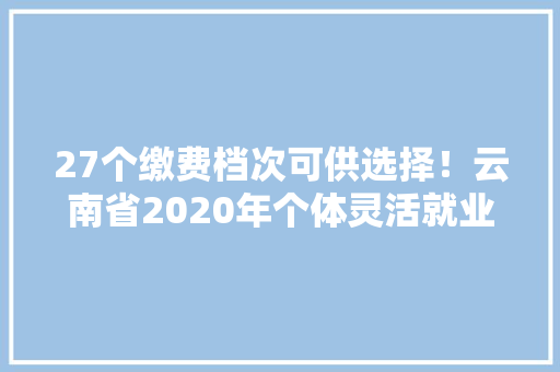 27个缴费档次可供选择！云南省2020年个体灵活就业人员社保缴费标准出炉
