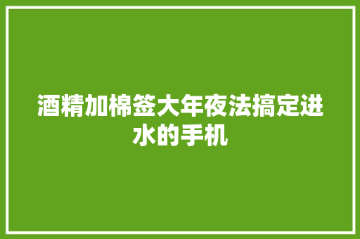 酒精加棉签大年夜法搞定进水的手机 酒精加棉签大年夜法搞定进水的手机 互联通信