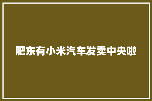 肥东有小米汽车发卖中央啦