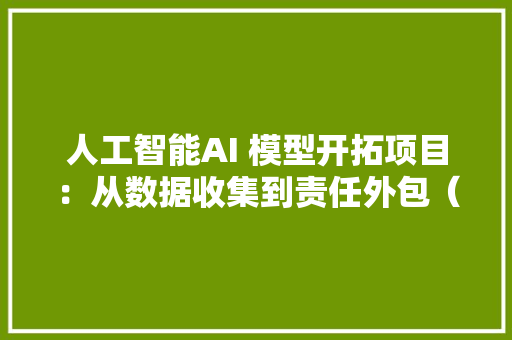 人工智能AI 模型开拓项目：从数据收集到责任外包（1/7）