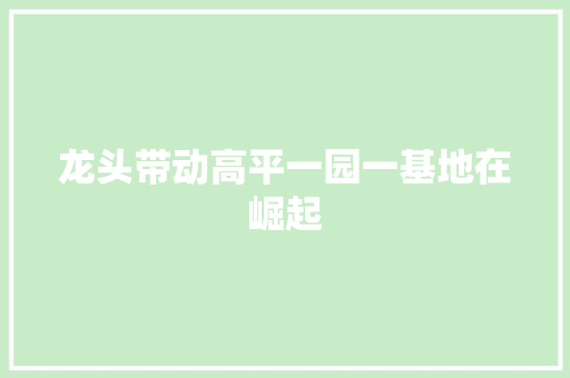 龙头带动高平一园一基地在崛起