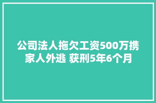 公司法人拖欠工资500万携家人外逃 获刑5年6个月