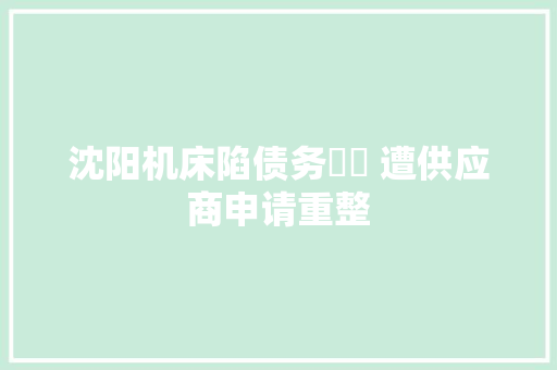 沈阳机床陷债务轇轕 遭供应商申请重整 沈阳机床陷债务轇轕 遭供应商申请重整 智能家居