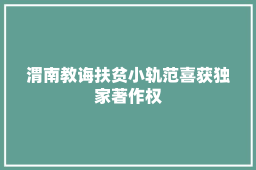 渭南教诲扶贫小轨范喜获独家著作权