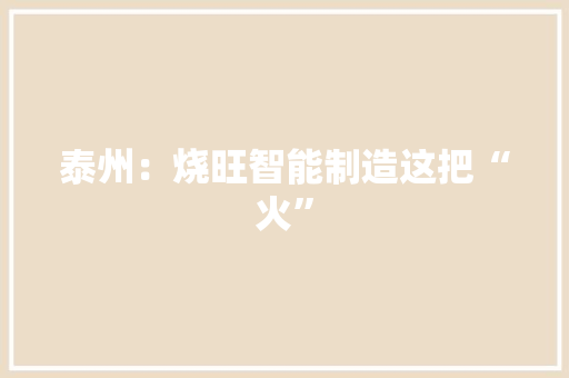 泰州：烧旺智能制造这把“火”