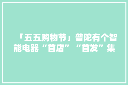 「五五购物节」普陀有个智能电器“首店”“首发”集聚地