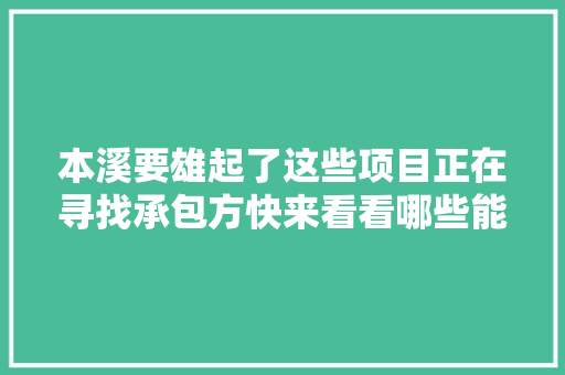 本溪要雄起了这些项目正在寻找承包方快来看看哪些能做 本溪要雄起了这些项目正在寻找承包方快来看看哪些能做 互联通信
