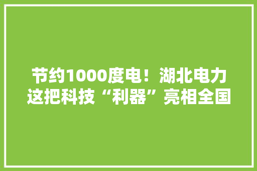 节约1000度电！湖北电力这把科技“利器”亮相全国节能宣传周