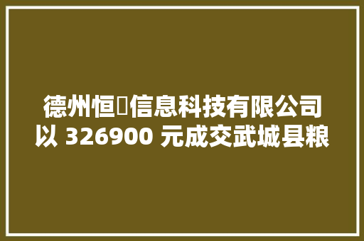 德州恒喆信息科技有限公司以 326900 元成交武城县粮食安然保障中央采购项目