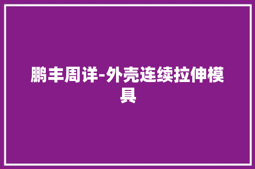 鹏丰周详-外壳连续拉伸模具