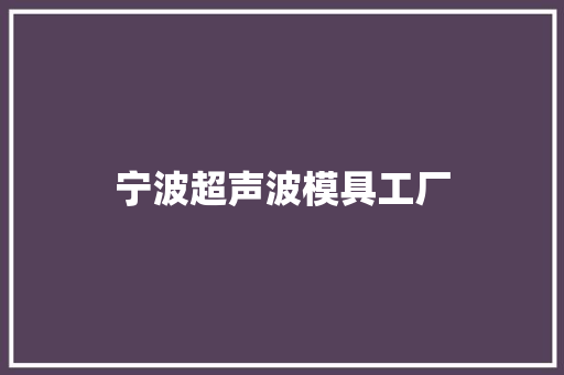 宁波超声波模具工厂