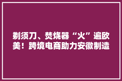 剃须刀、焚烧器“火”遍欧美！跨境电商助力安徽制造“乘风出海”