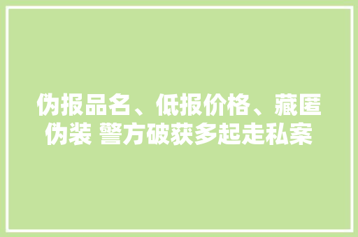 伪报品名、低报价格、藏匿伪装 警方破获多起走私案