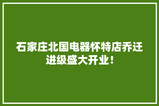 石家庄北国电器怀特店乔迁进级盛大开业！